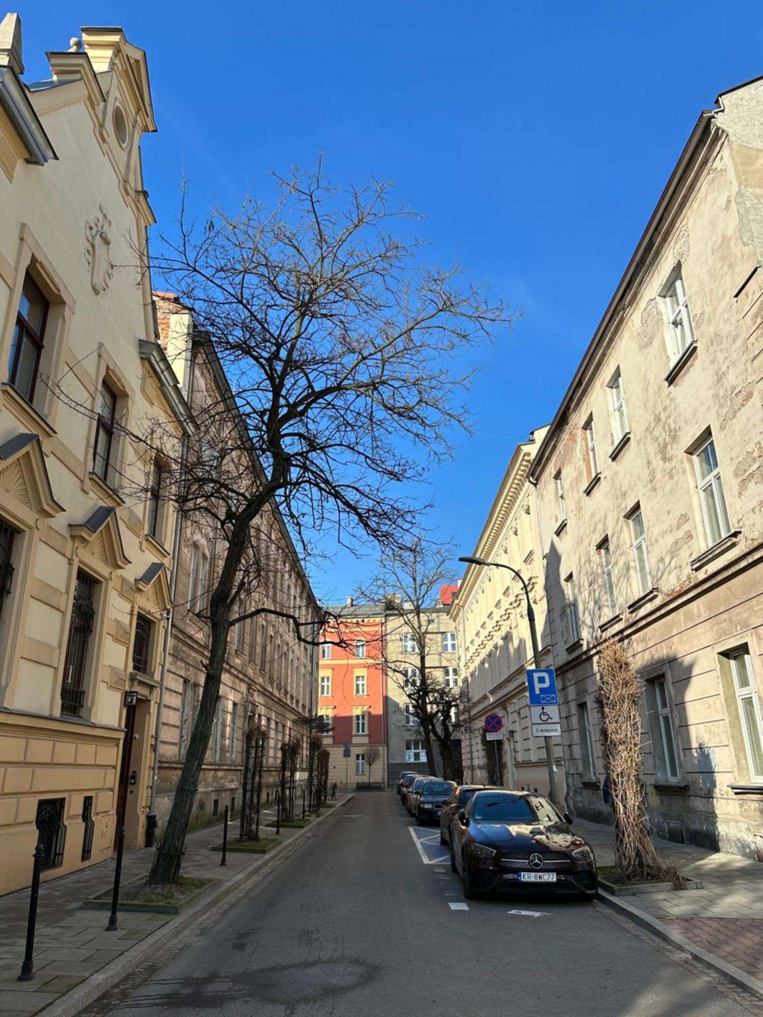 Perfect Place To Stay In Krakow City Center 40M2 W4 Exteriér fotografie